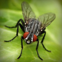 /album/kanduvetica02/photolia-a01-jpg/