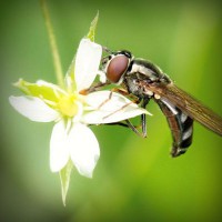 /album/kanduvetica02/photolia-a02-jpg/