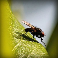 /album/kanduvetica02/photolia-a04-jpg/