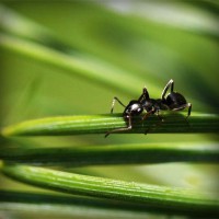 /album/kanduvetica02/photolia-a05-jpg/