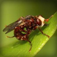 /album/kanduvetica02/photolia-a06-jpg/