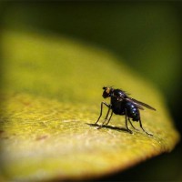 /album/kanduvetica02/photolia-a07-jpg/