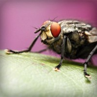 /album/kanduvetica02/photolia-a08-jpg/